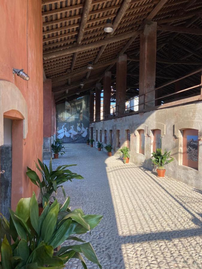 Agriturismo Padernello Borgo San Giacomo Dış mekan fotoğraf